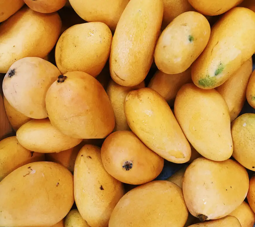 Tropical Fruits