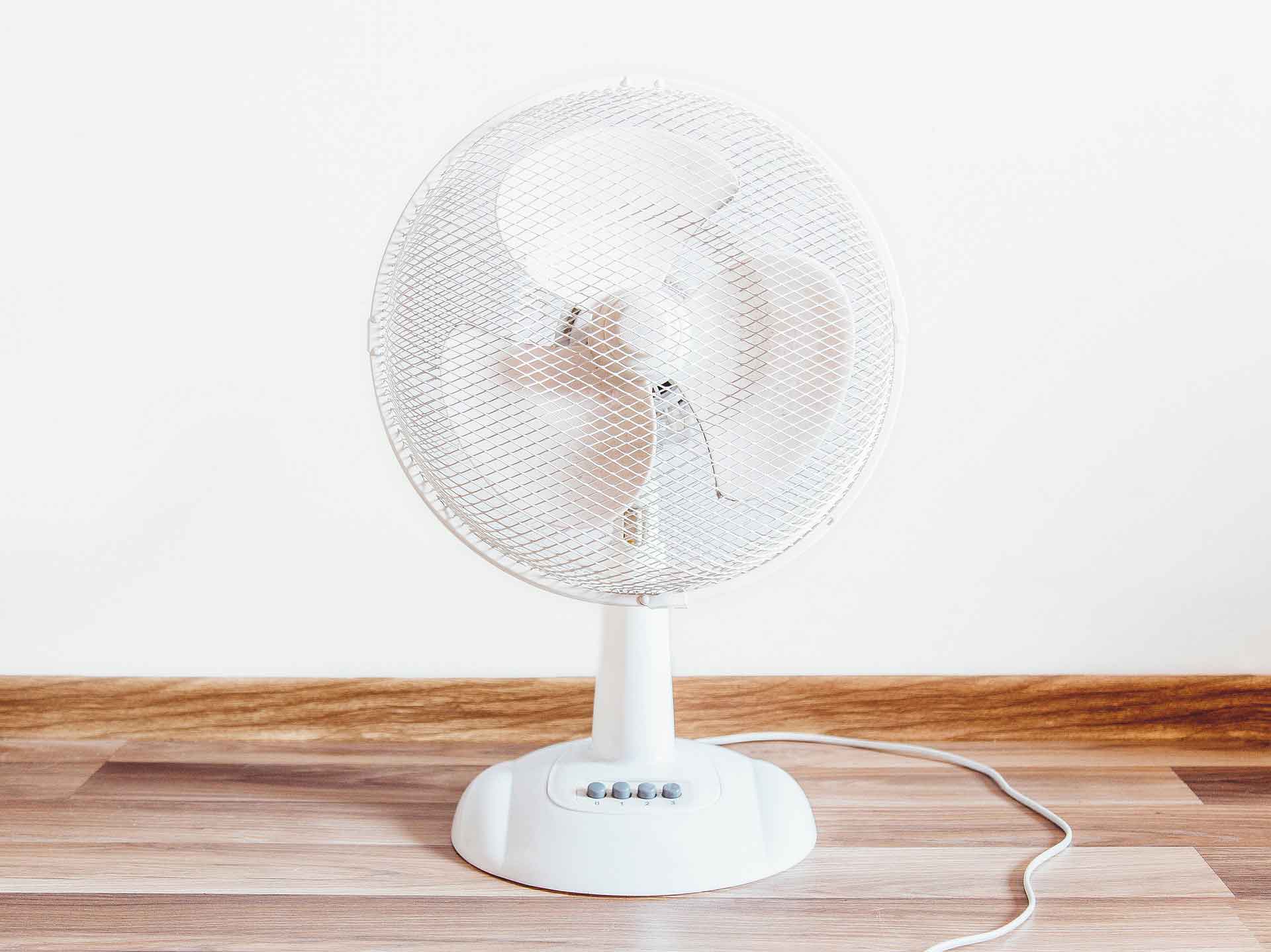 White electric fan